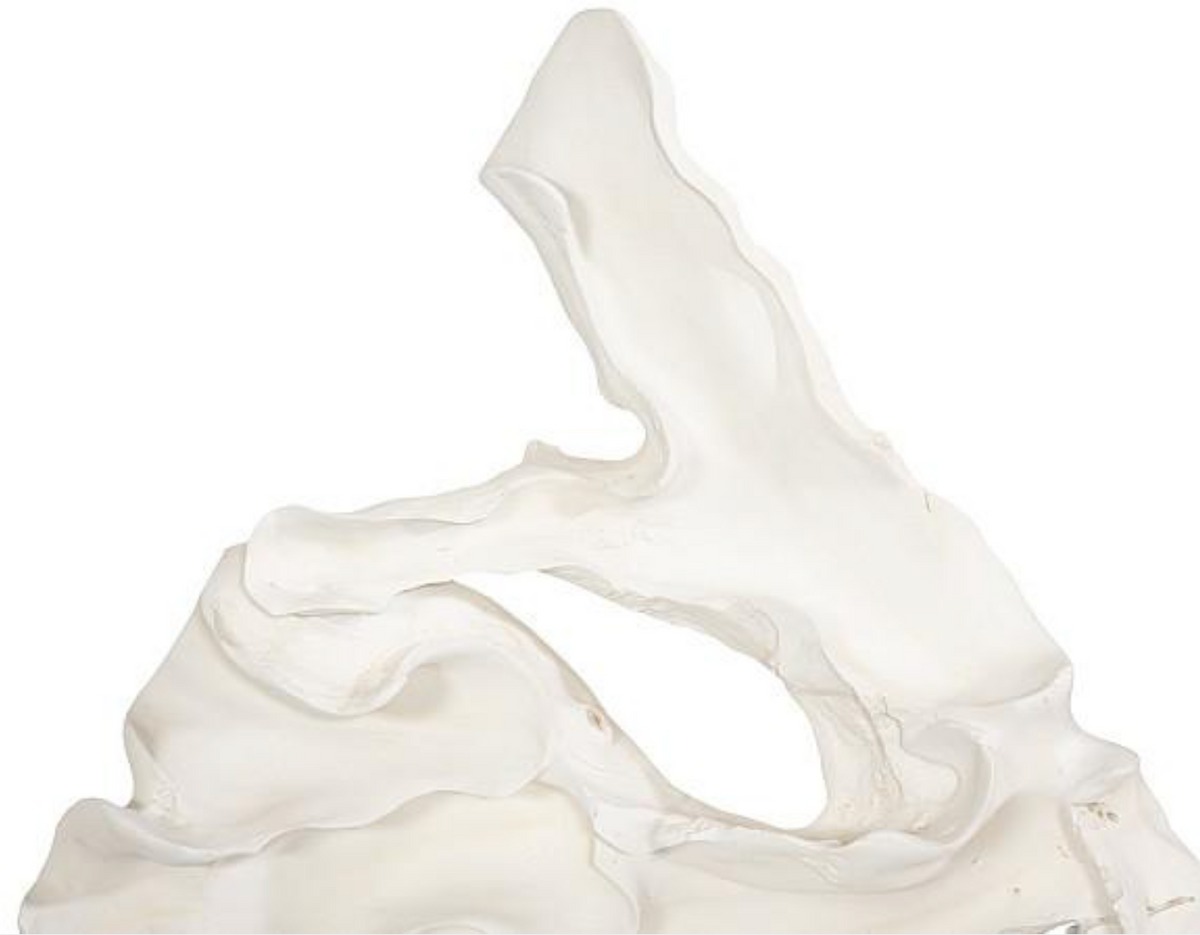 Contour Cast Root Triangle Wall Art, Faux Bleached