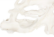 Contour Cast Root Triangle Wall Art, Faux Bleached
