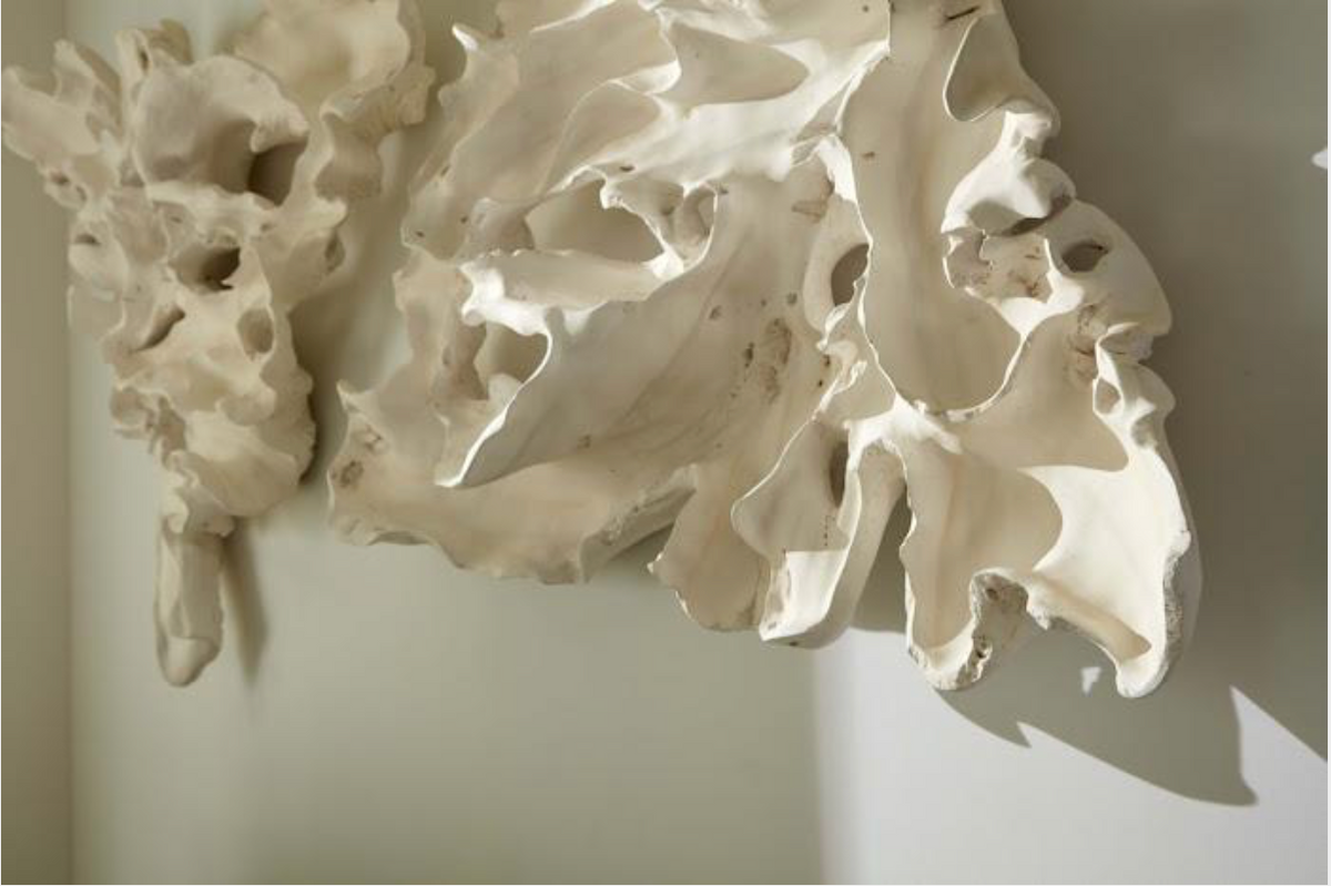 Contour Cast Root Triangle Wall Art, Faux Bleached