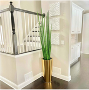 Pure Gold Stainless Steel Tapered Large Cone with Medium Snake Grass Plant