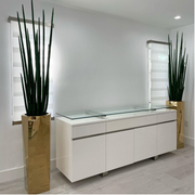 Gold Octagon Planter with Snake Grass