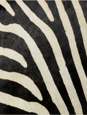 Dexter Zebra Print Genuine Hairon Hide Pillow