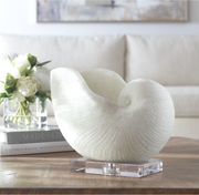 Nautilus Shell Sculpture