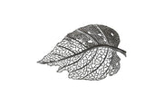 Birch Leaf Wall Art, Silver