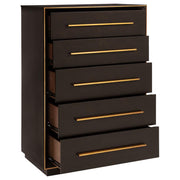 Astria Chest