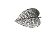 Birch Leaf Wall Art, Silver
