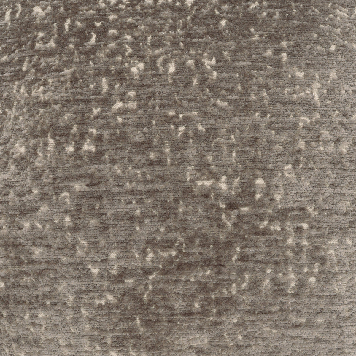 D.V. Kap Gamble-Driftwood